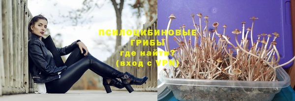 каннабис Алзамай