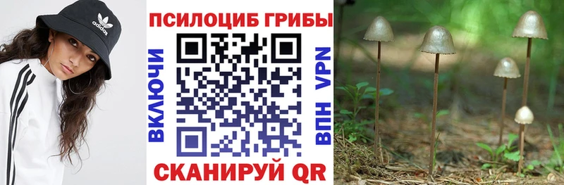 Галлюциногенные грибы Psilocybine cubensis Апрелевка