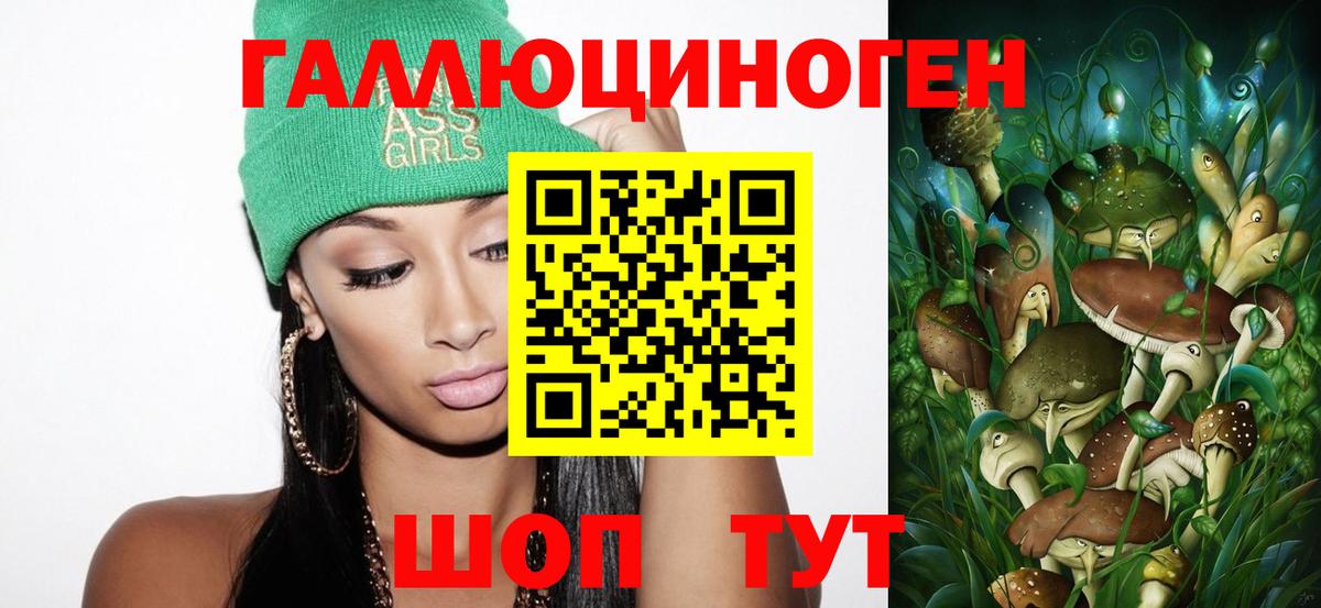 Апрелевка  Галлюциногенные грибы Psilocybe  Вход с VPN 